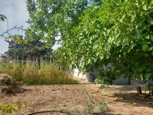 Land for sale in La Masó