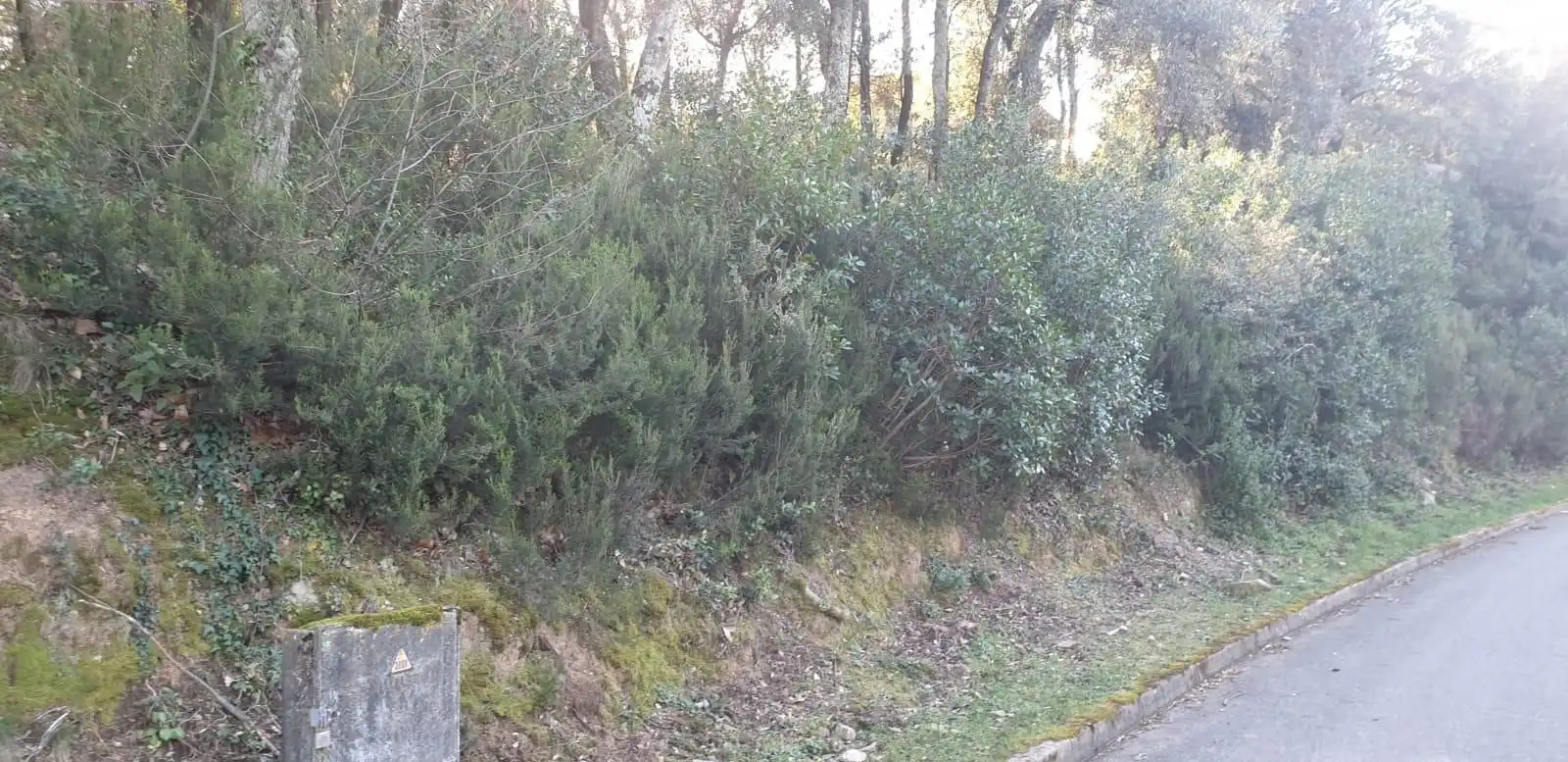 Residencial en venta en Sant Feliu de Buixalleu
