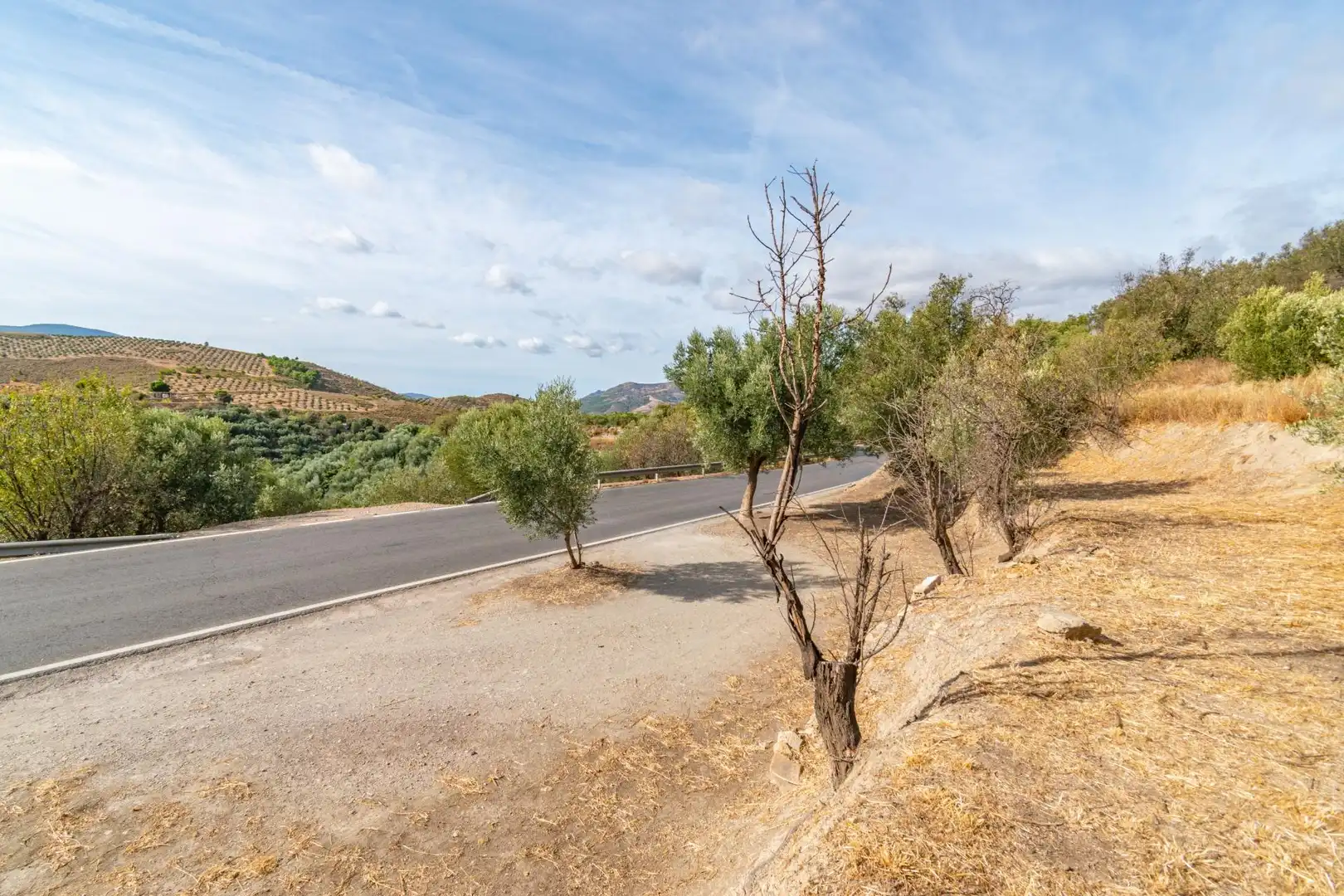 Country homes for sale in Órgiva