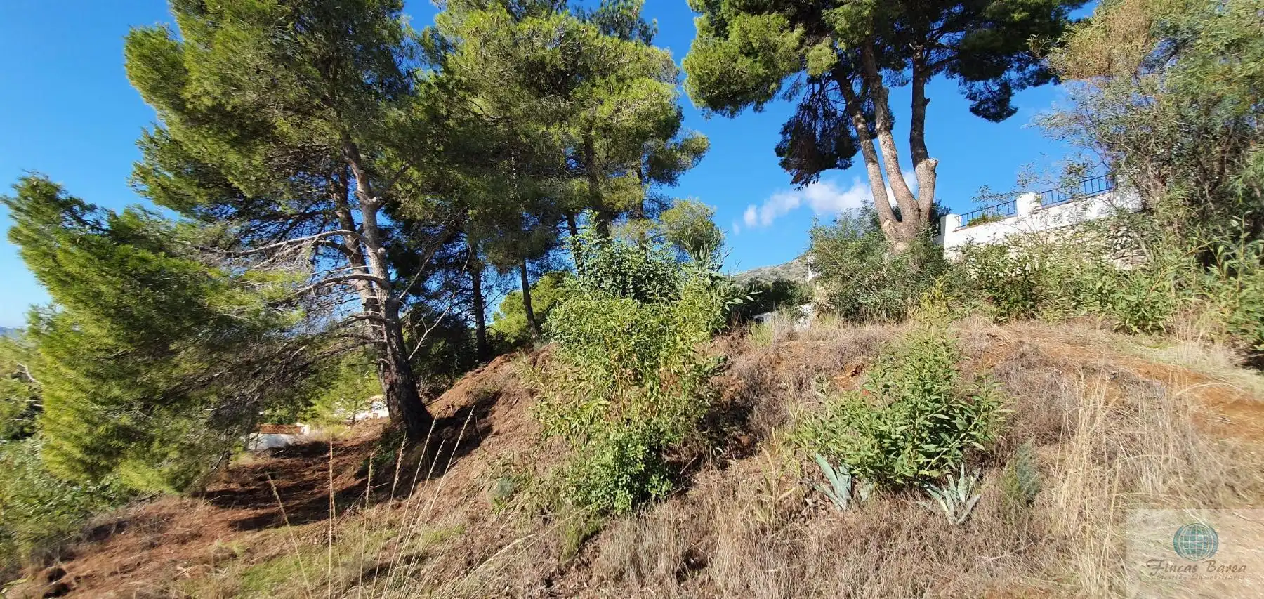 Terreni e lotti in vendita a Mijas pueblo, imagen 12