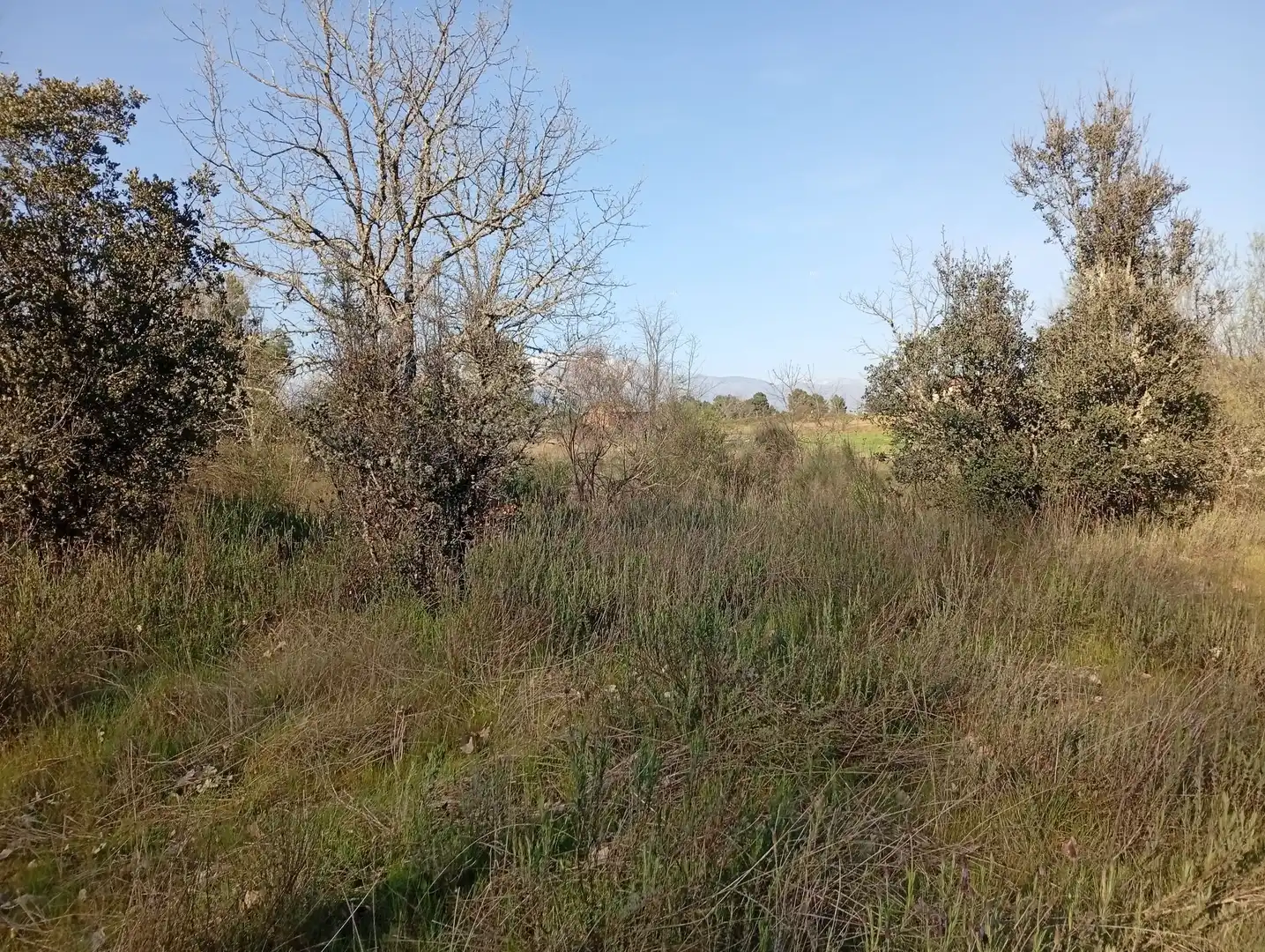 Terreni e lotti in vendita a Villanueva de la Vera, imagen 101