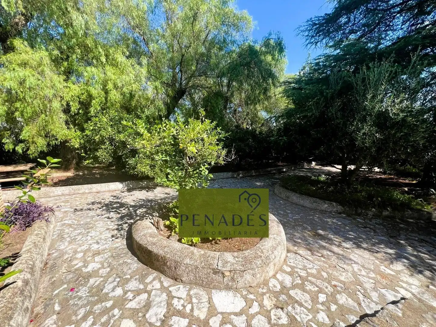 Villa in vendita a Santa Ana, imagen 7