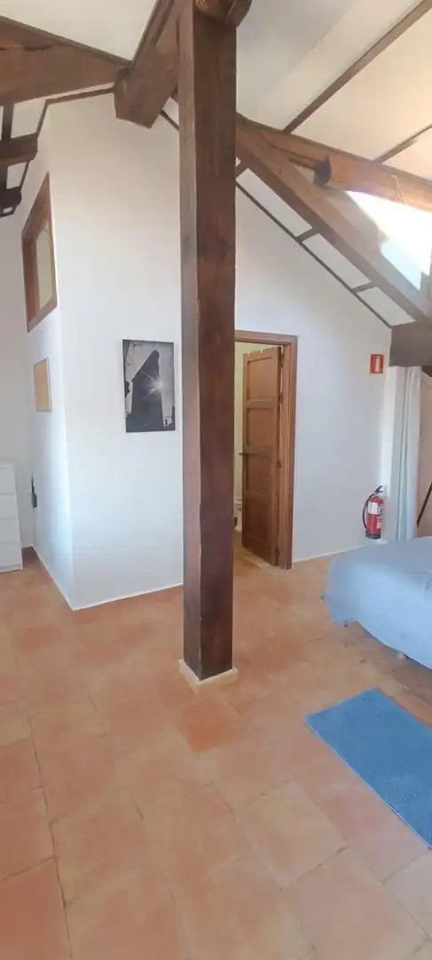 Inmuebles singulares en venta en Plaza Mayor - San Agustín, imagen 19