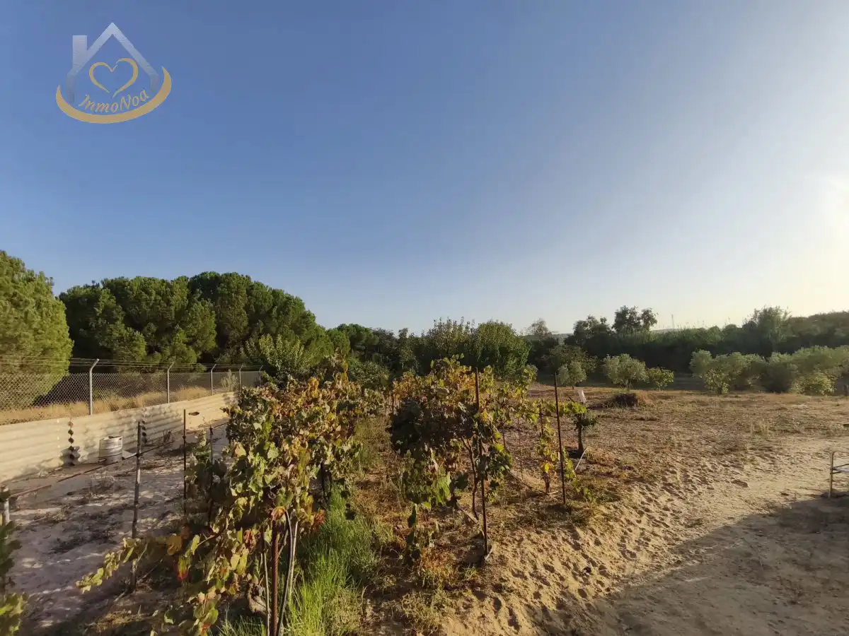Terreni e lotti in vendita a Cartaya, imagen 2