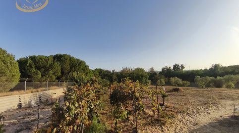 Foto 2 von Grundstücke zum Verkauf in Cartaya, Huelva