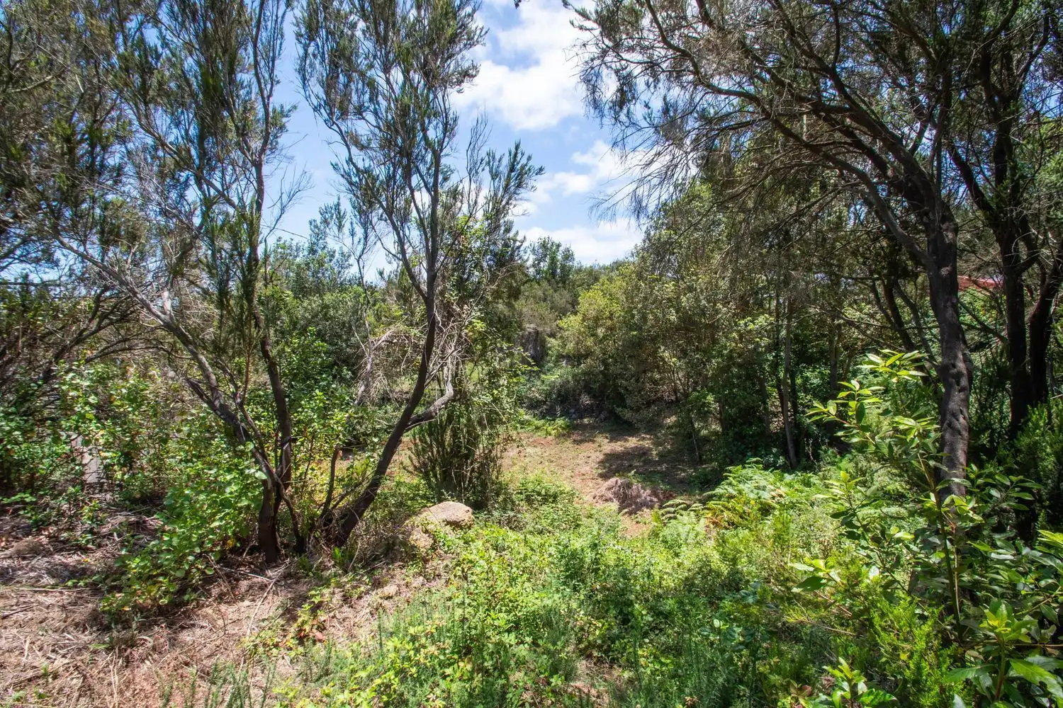 Land for sale in El Tanque