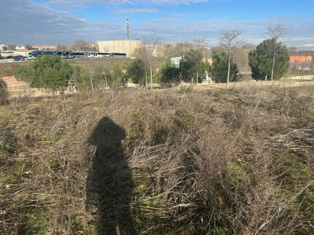 Wohnbaugrundstück zum Verkauf in Av. de los Rosales, imagen 3