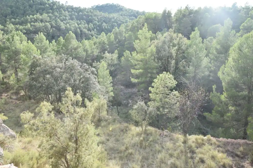 Terreni e lotti in vendita a La Cerollera, imagen 6