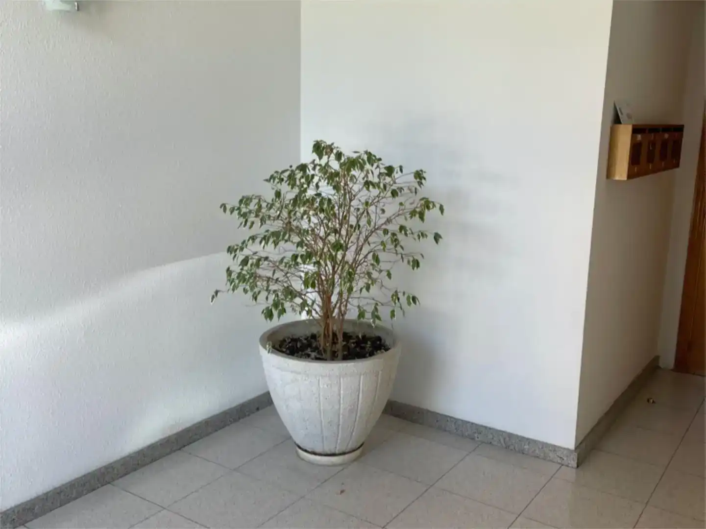 Garden of Flat for sale in Tàrrega  with Storage room and Balcony