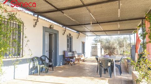 Photo 2 of House or chalet for sale in Adamuz - Algallarin, Adamuz, Córdoba