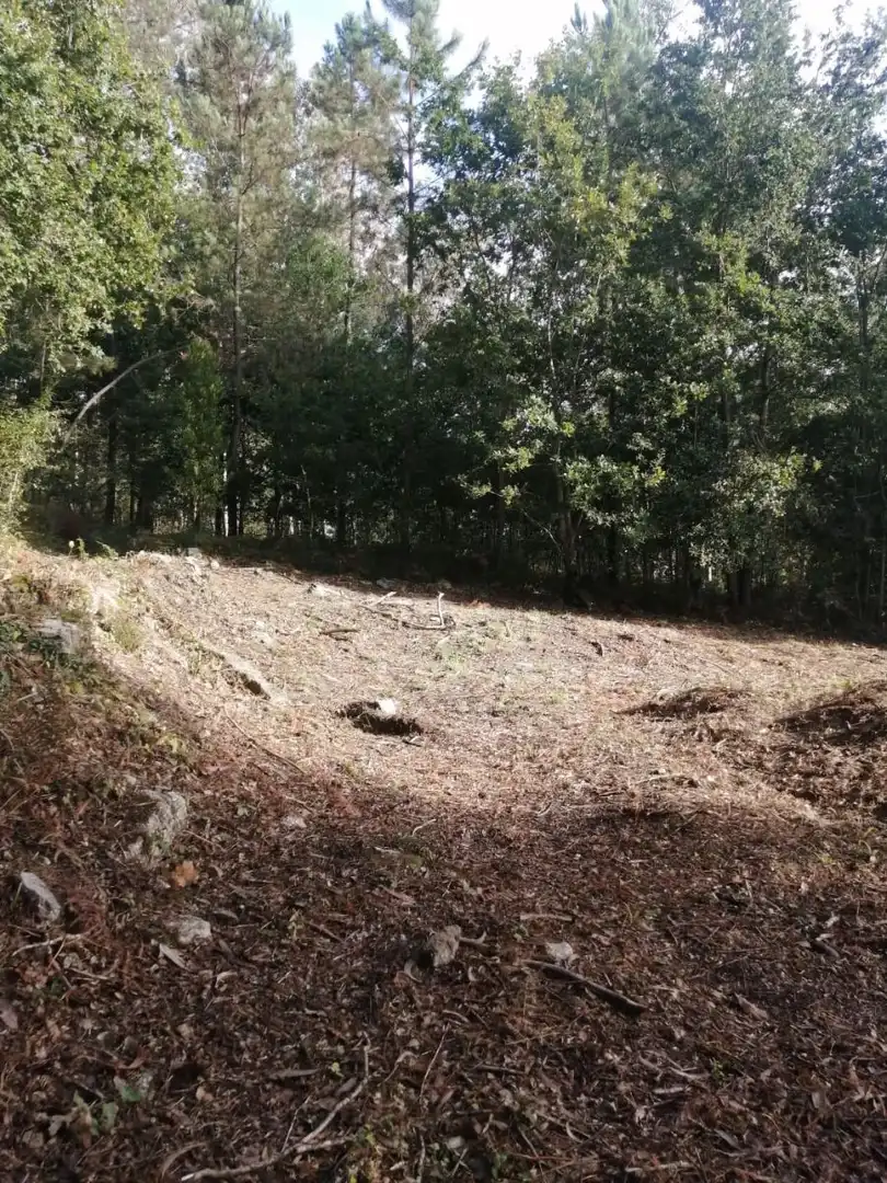 Terrains et parcelles à vendre à Ponteareas, imagen 13