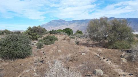 Photo 3 of Land for sale in Pre. Loma de la Mezquita-sus-66-es, -1, Pabellón - Estación - El Corte Inglés, Almería