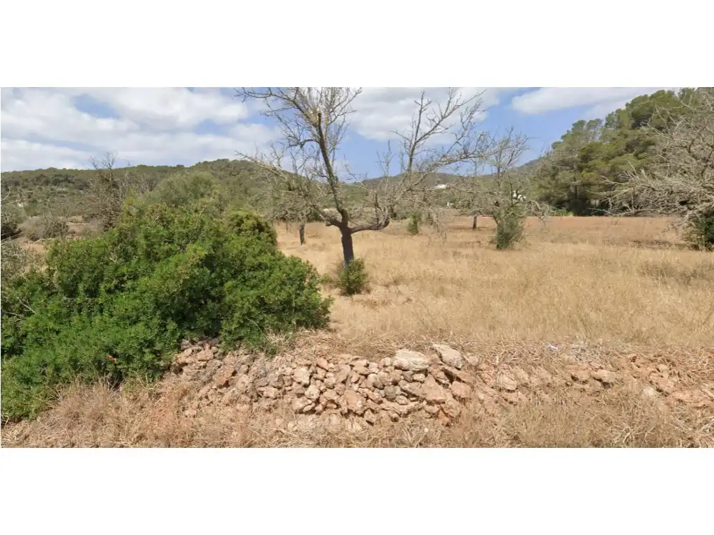 Terreny residencial en venda a Diseminados Buscastell, imagen 7