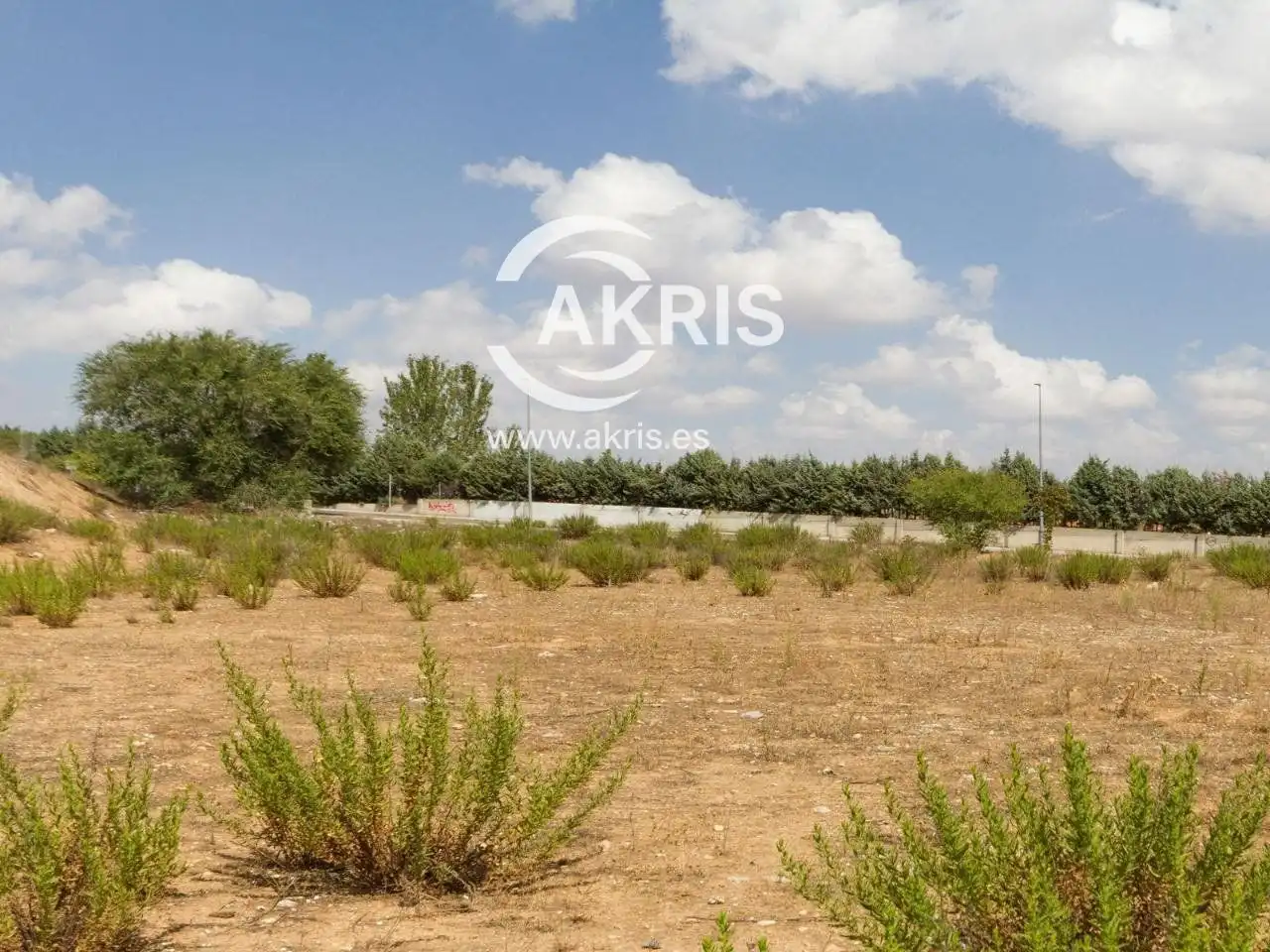 Terreno rústico en venta en Carretera de Ajalvir, imagen 11