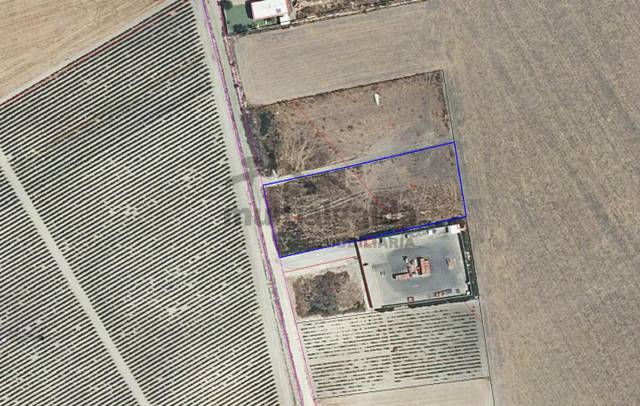 Terreno en Venta en Ctra Jerez - Ctra del Puerto