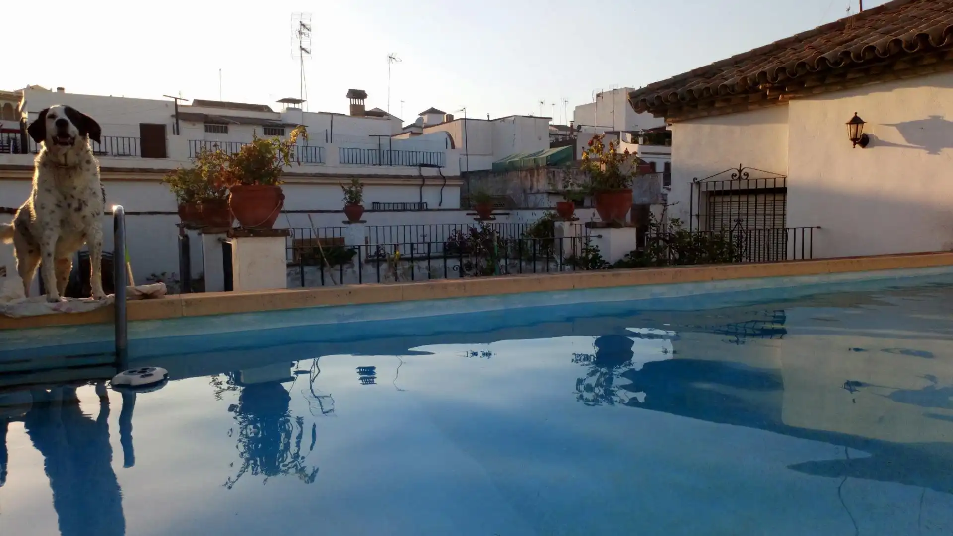Swimming pool of Houses for sale in Córdoba  with Air Conditioner, Heating and Storage room