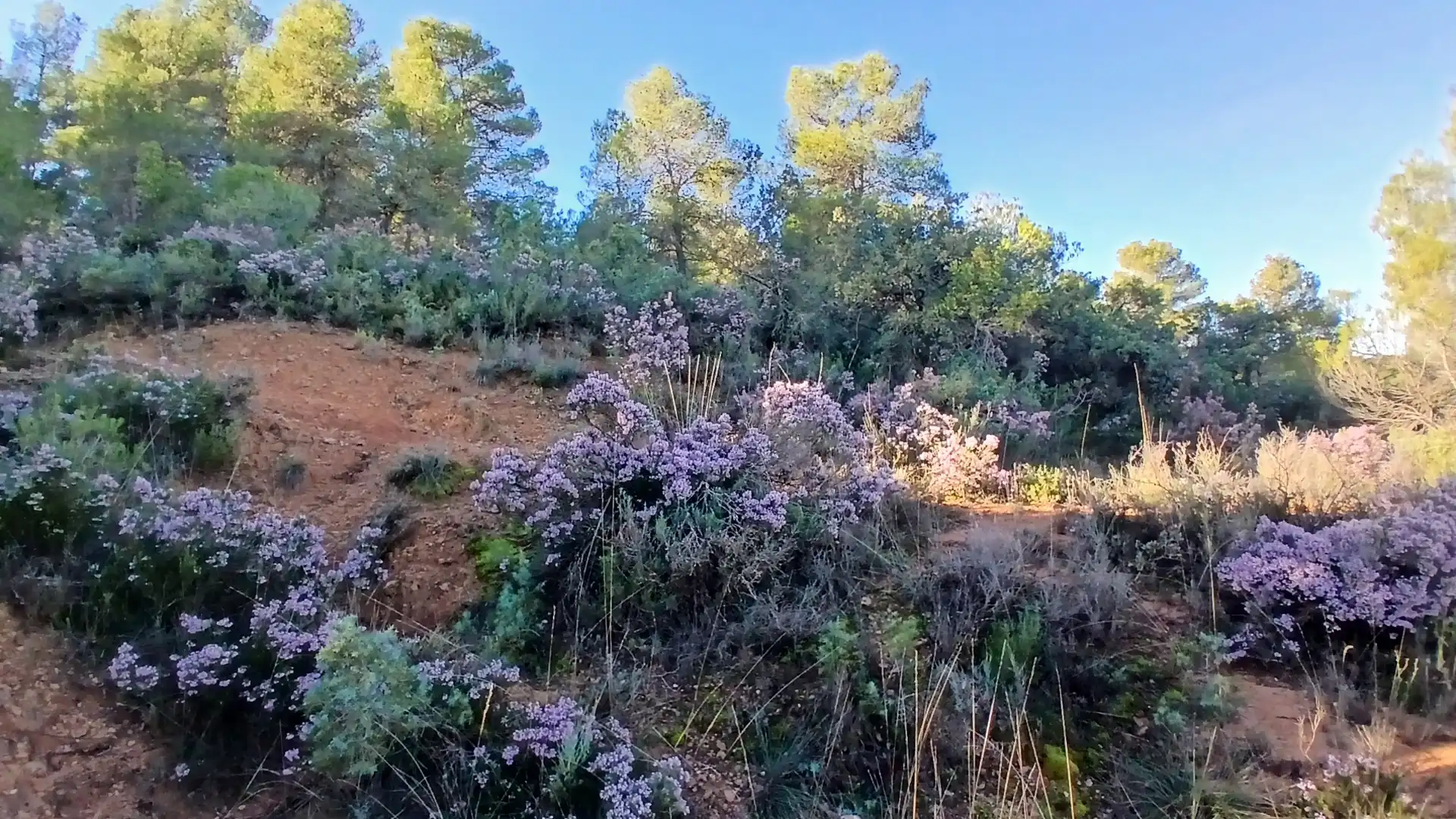 Terreno rustico in vendita a N/A, imagen 11