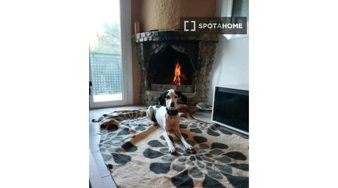 Photo 3 of Flat to share in Vallirana, Barcelona