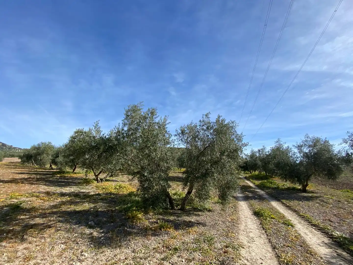 Terreno en venta en Villanueva Mesía