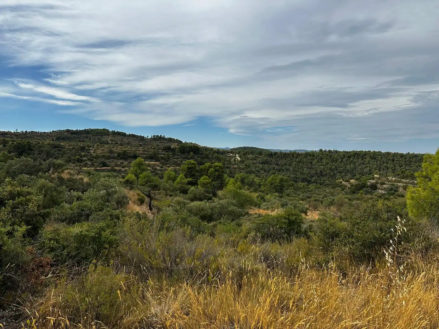 Terreny rústic en venda a Cervià de Les Garrigues, imagen 9