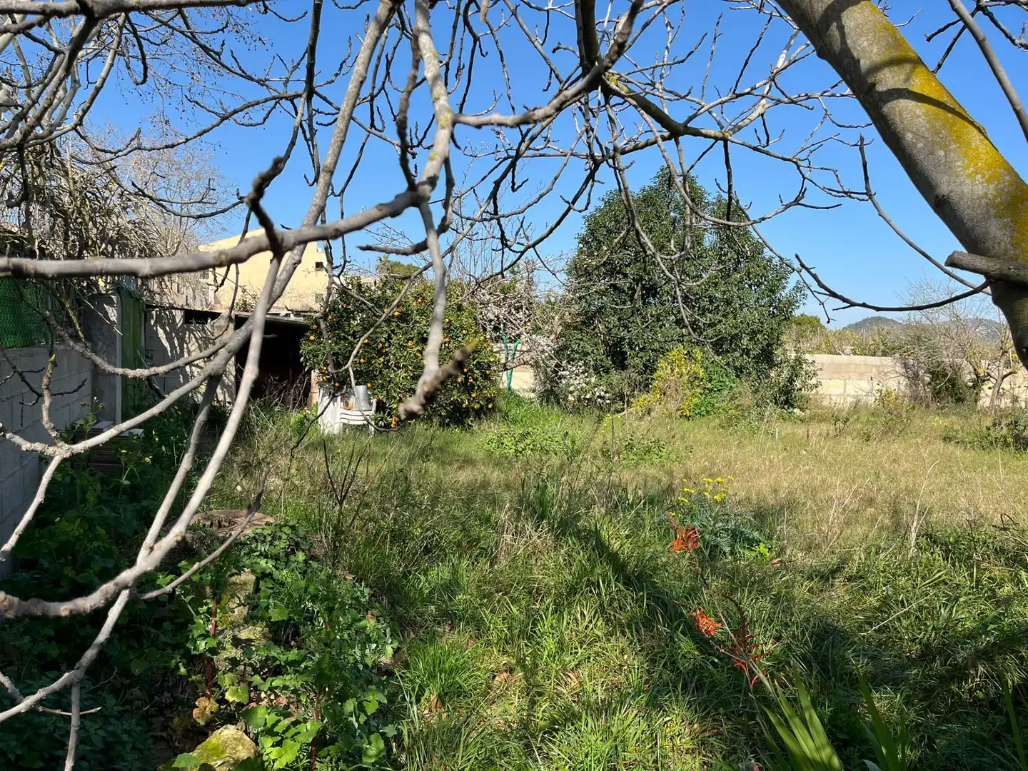 Terrenos y solares en venta en Son Servera Poble, imagen 6