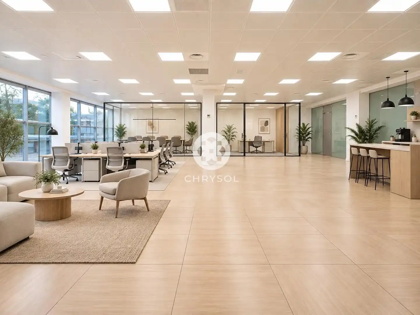 Office space with lift for sale in Avenida Avinguda Corts Catalanes