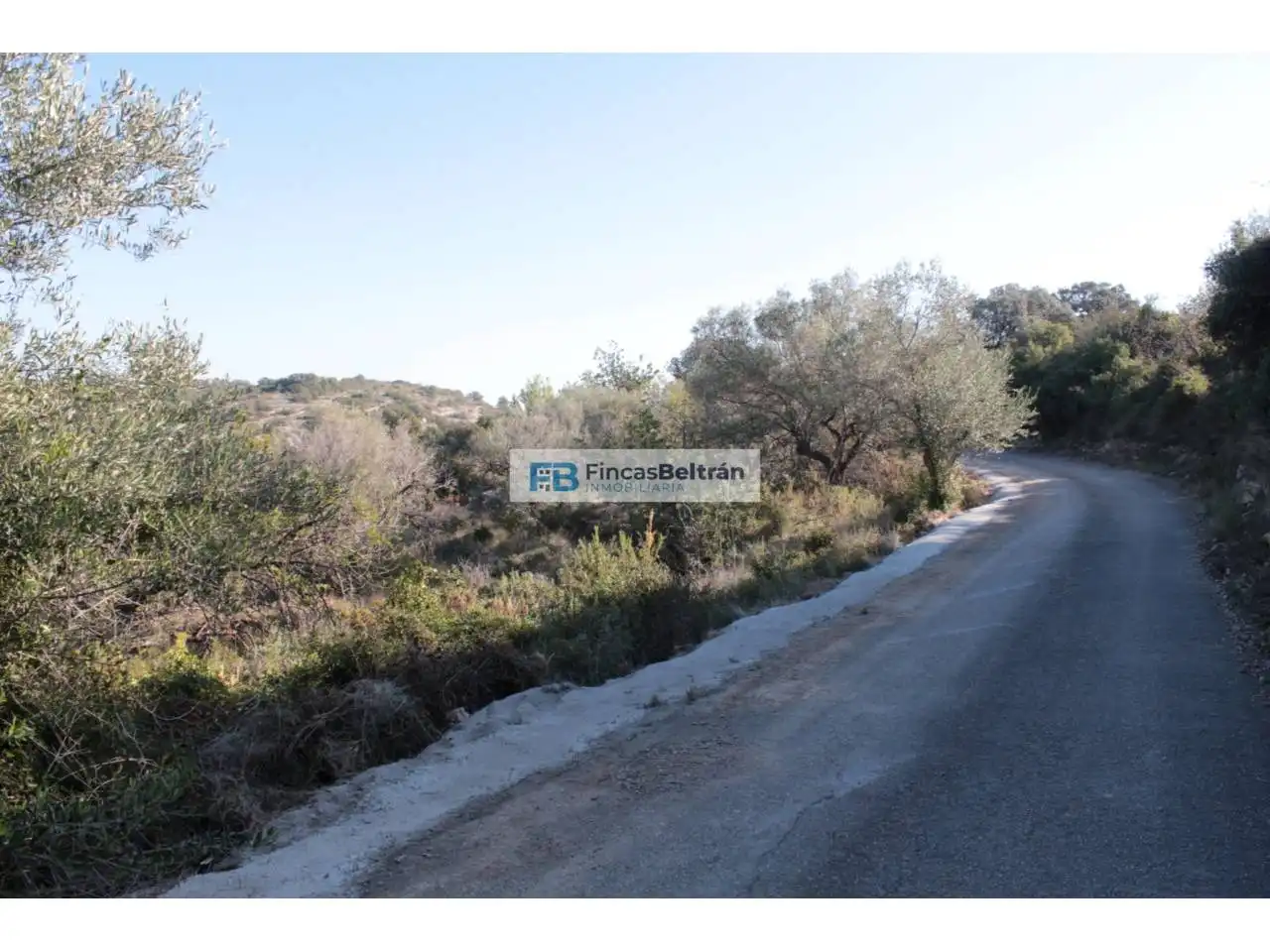 Rural land for sale in Poligono 36, parcela 240, imagen 4