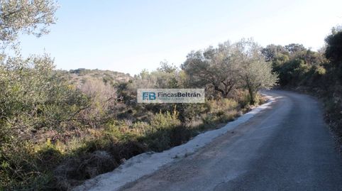 Finca rustica con pozo propio y magníficas vistas al mar, imatge 4