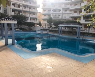 Swimming pool of Apartment for sale in Torrevieja  with Terrace, Furnished and Washing machine