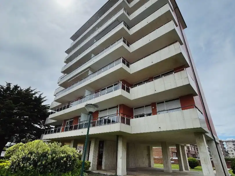 Piso con piscina en venta en Av. Enrique Mowinckel 57, imagen 4