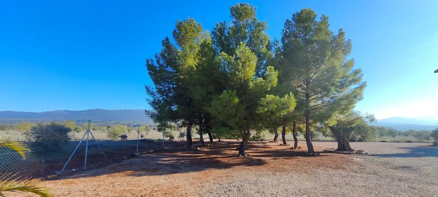 Casa o chalet en venta en La Solana   con Jardín privado, Terraza y Trastero