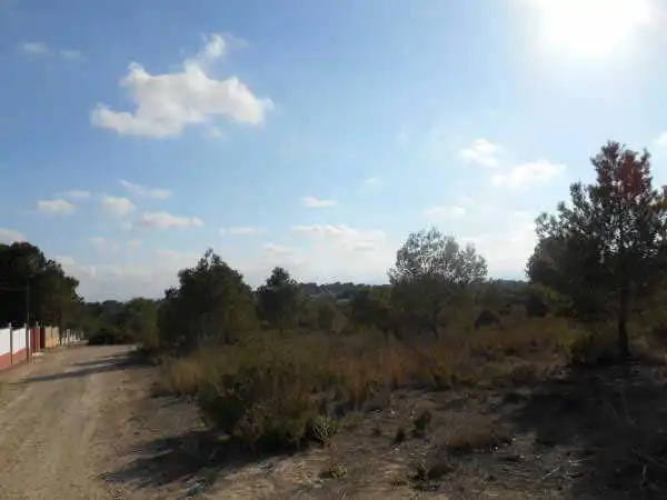 Rural land for sale in Sc R-19, Pol 29, imagen 2