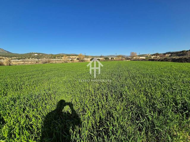 Terreno en Venta en Poligono Poligono 11 Parcela 509, Cantagallo, 509 en Huétor Tájar