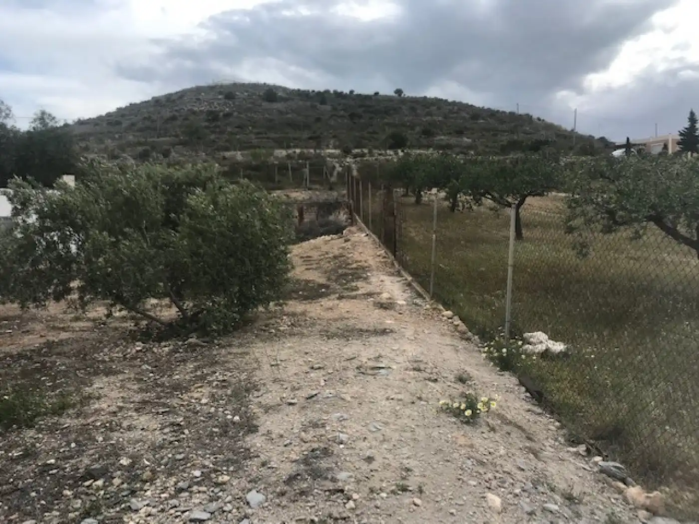 Finca rústica en venta en Cartagena