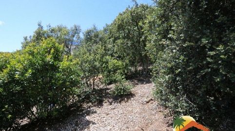 R01428 TERRENO URBANIZABLE CON VISTAS AL MAR EN SERRA BRAVA, LLORET DE MAR., imatge 2