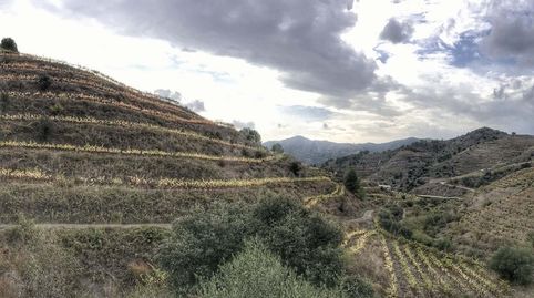 Foto 3 de Terreno en venta en Porrera, Tarragona