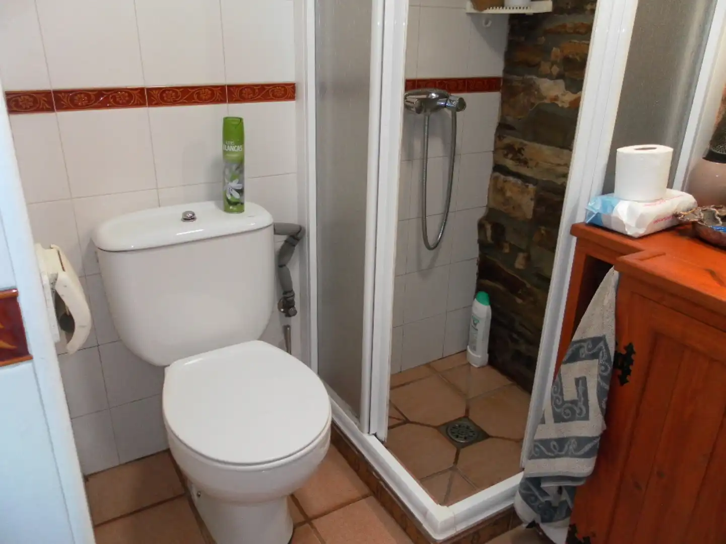 Bathroom of Detached homes for sale in Santa Colomba de Somoza  with Heating and Furnished