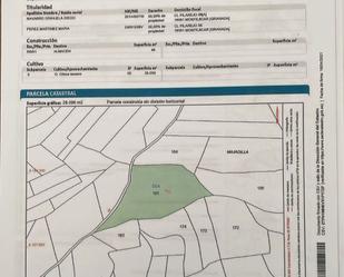Land for sale in Calle Pilarejo, Montejícar