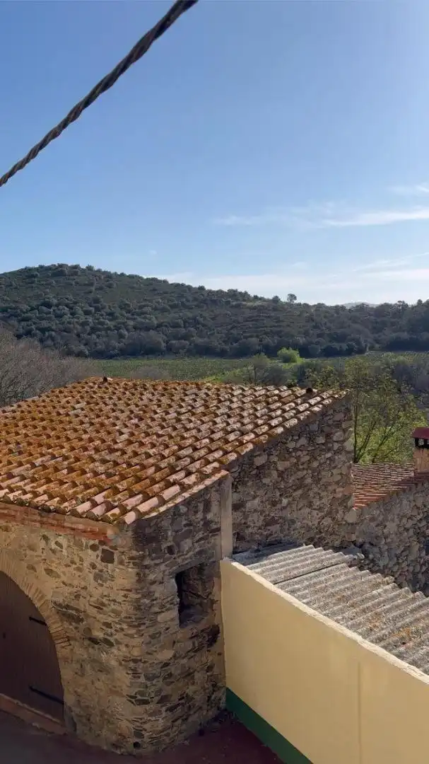Maison rustique à vendre à Carrer DE BANYULS, imagen 48