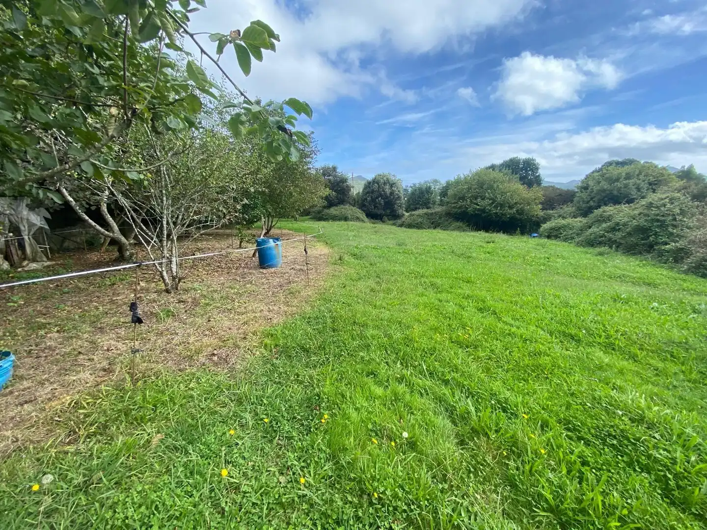 Finca rústica en venta en Argoños