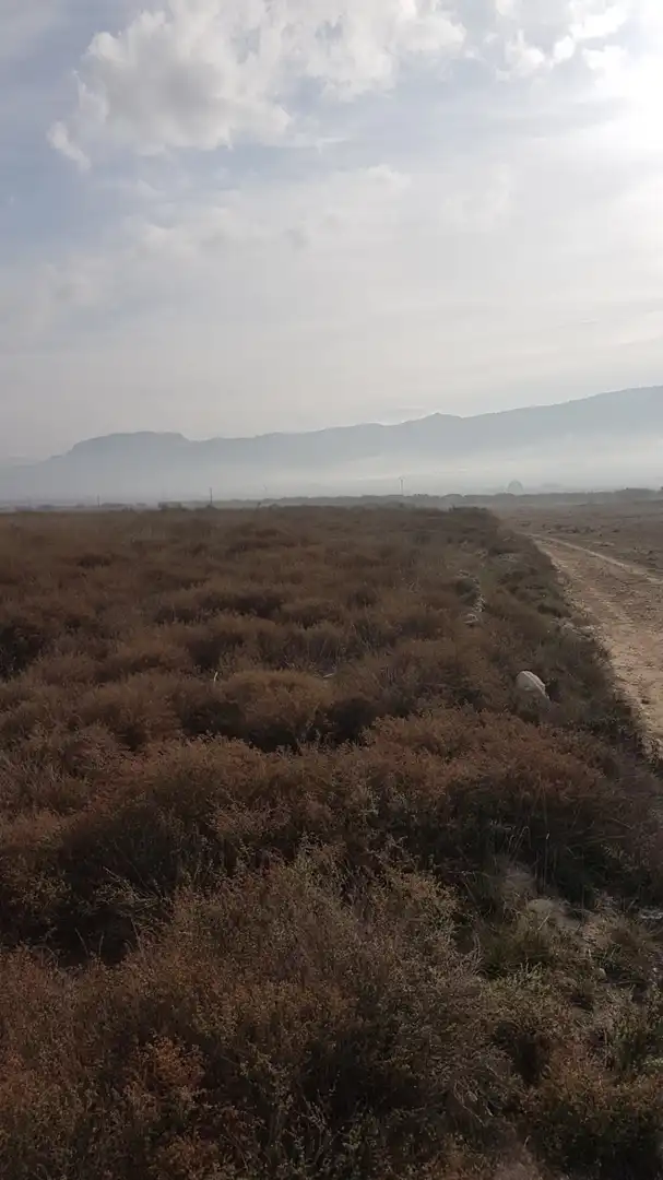 Finca rústica en venda en Salinas