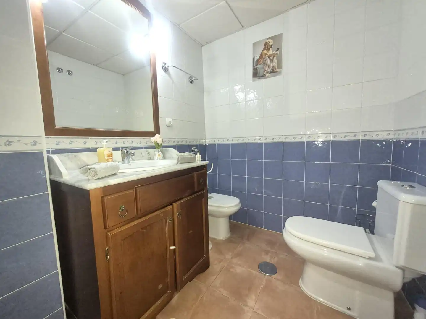 Planta baja en venta en Camino MORO MANCO, Marina de la Torre