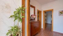 House or chalet for sale in Calle CEREZA, 7, Pozo de los Frailes - Presillas - Albaricoques, imagen 1