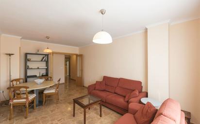 Living room of Flat for sale in Oliva