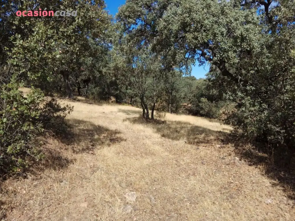 Finca rústica en venta en Villanueva del Duque