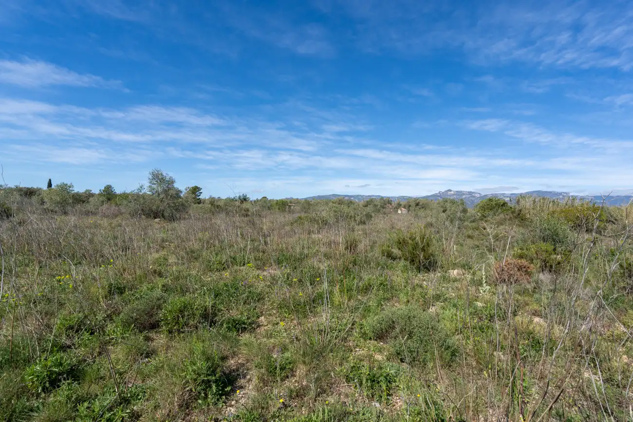 Rustikales Grundstück zum Verkauf in Ulldecona, imagen 13