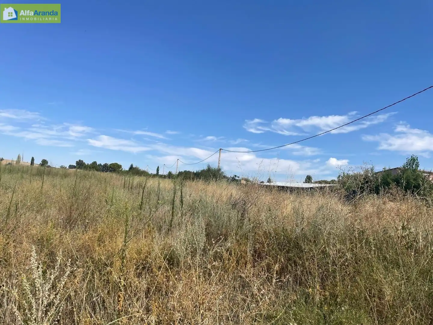 Terreno rústico en venta en Zona Rural, imagen 2