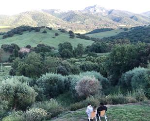 Jardí de Casa o xalet en venda en Algodonales amb Aire condicionat, Calefacció i Jardí privat