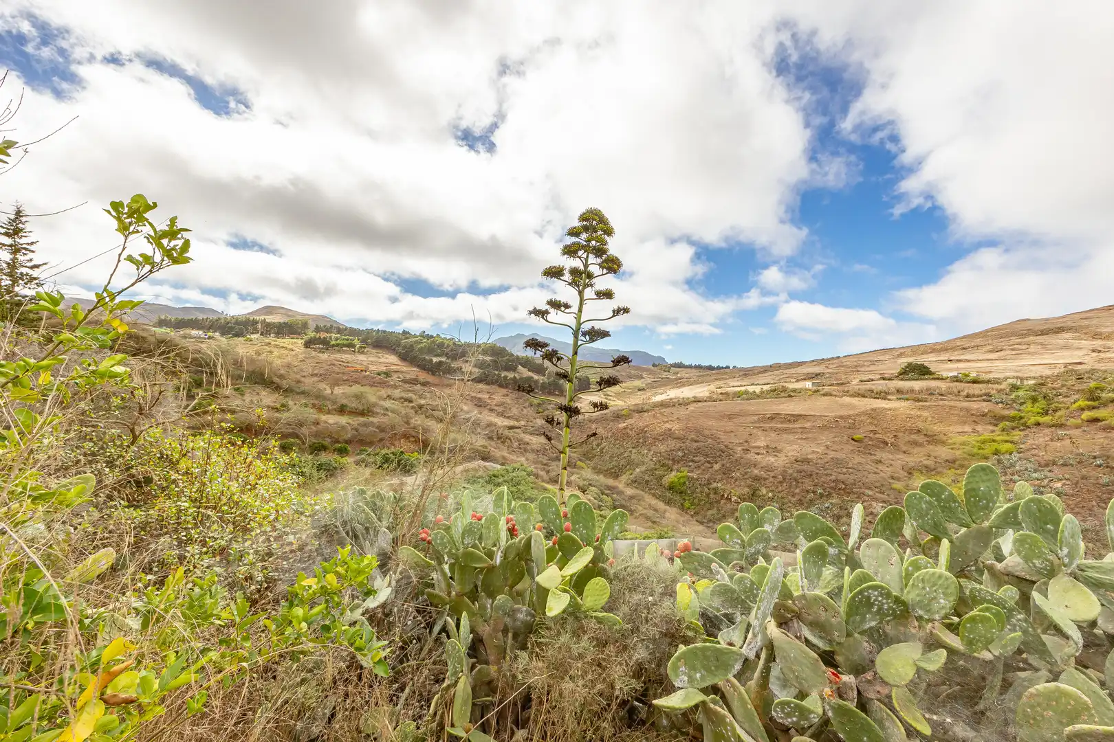 Residencial en venta en Lugar Lomo del Poleo, Saucillo - Fagajesto - Juncalillo