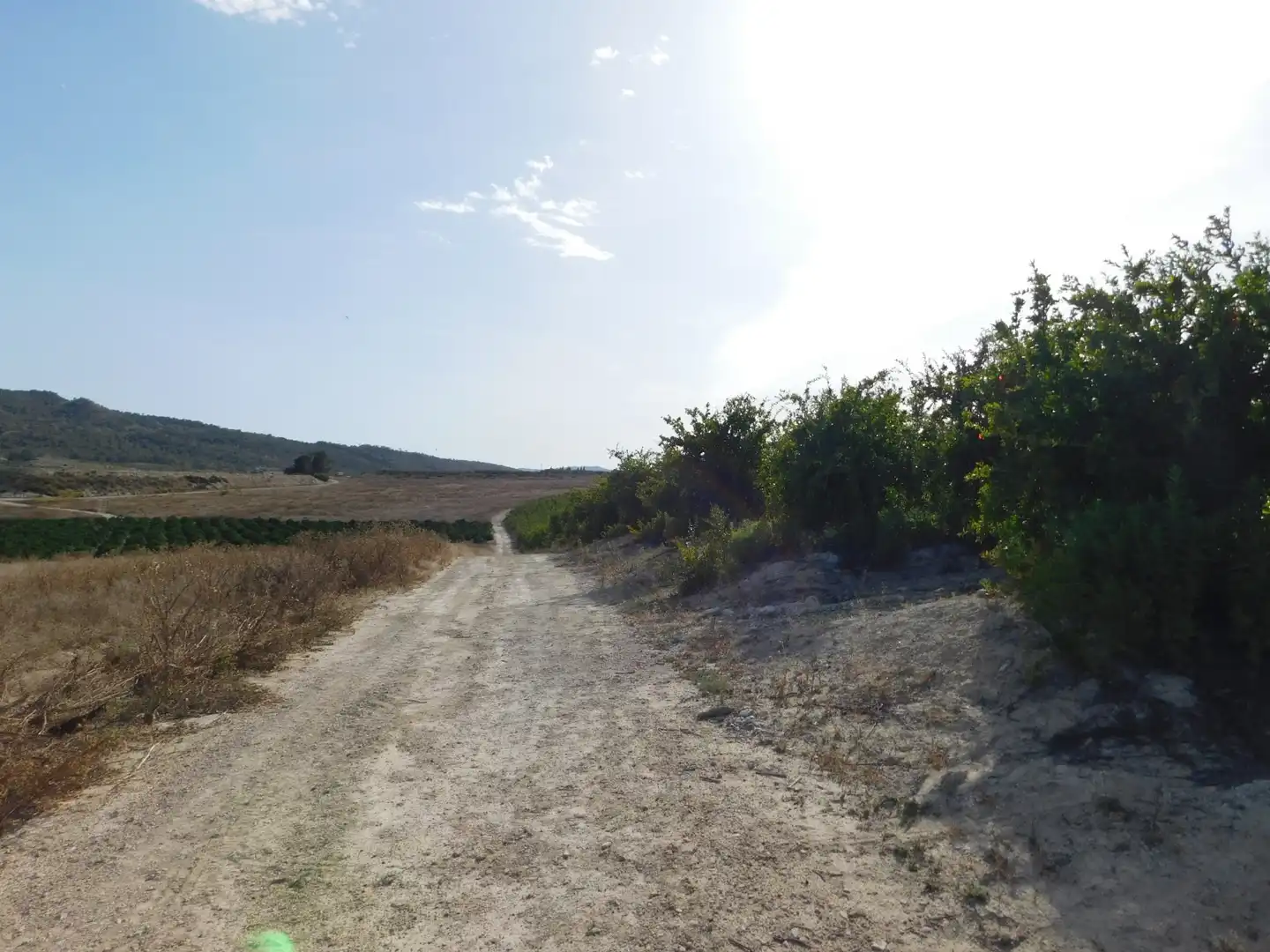 Terreno residencial en venta en San Miguel de Salinas, imagen 9